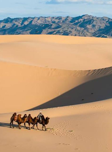 Magical golden Gobi and Orkhon valley tour